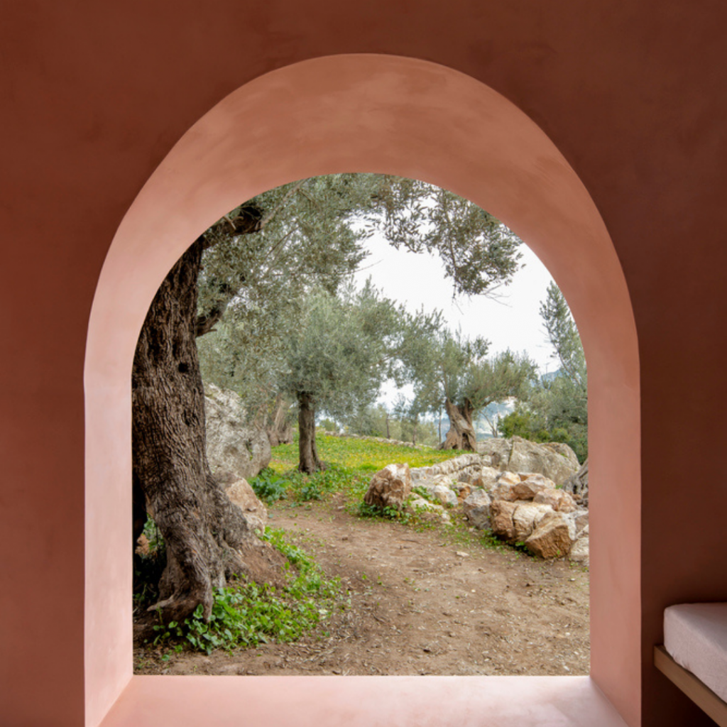 the-olive-houses