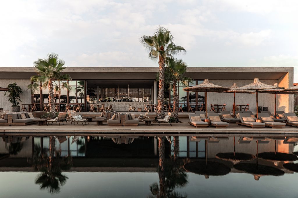 piscine-terrasse-palmiers-hôtels