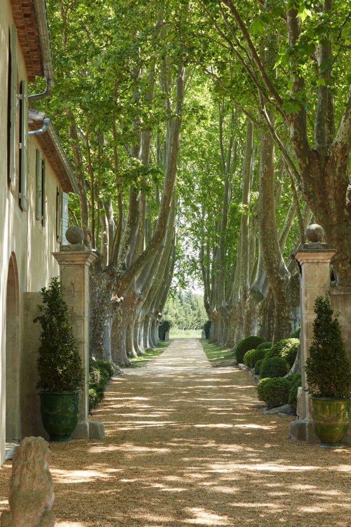 domaine-de-chalamon-saint-rémy-de-provence-bastide-provence-jardin